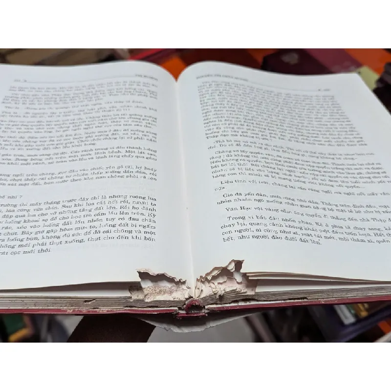 Khoa cử Việt Nam - Nguyễn Thị Châu Quỳnh 719523