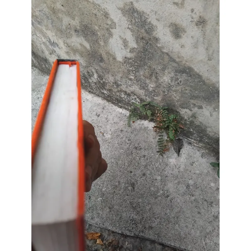 Nhịp sinh học với Dịch học trong văn hóa phương Đông  1022856