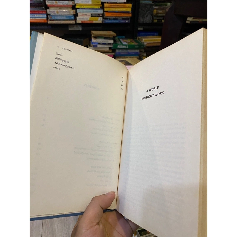 A World Without Work - Daniel Susskind 1029209