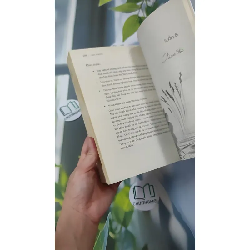 Kiến Phật - Rose Elliot 961158