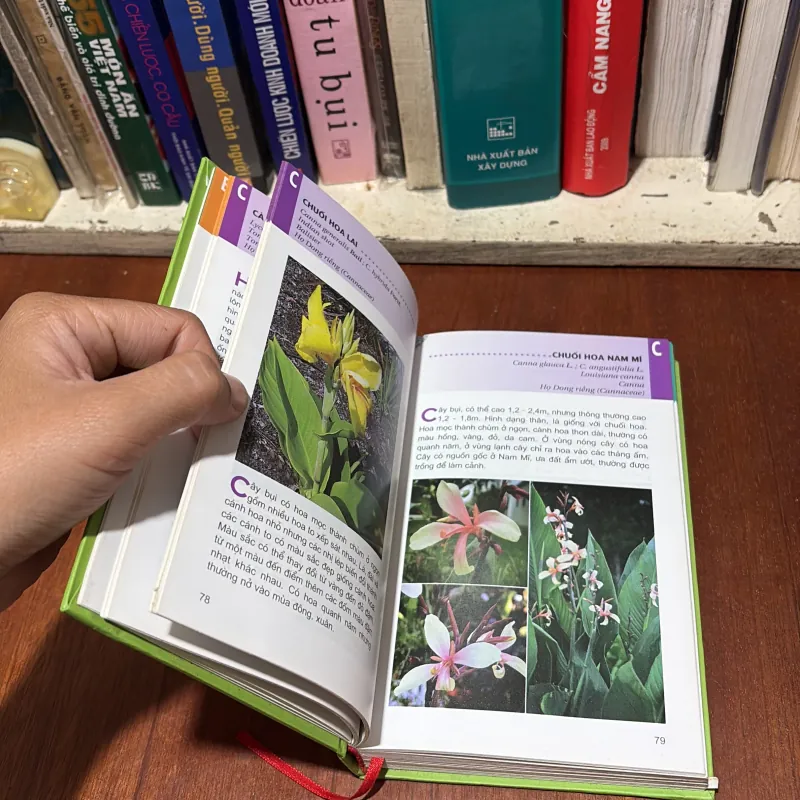 II Cây Cảnh: Từ Điển Tranh Về Các Loài Hoa - Lê Quang Long - 2006 755406