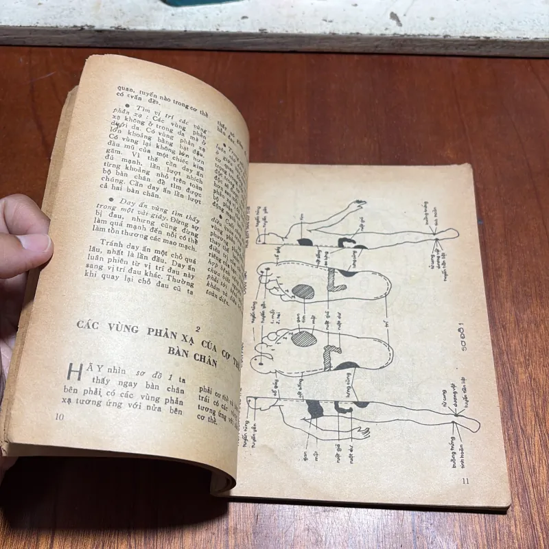 II Tự Trị Bệnh Bằng Day Ấn Vùng Phản Xạ Trên Bàn Chân - MILDRED CARTER (Mỹ) - 1988 799618