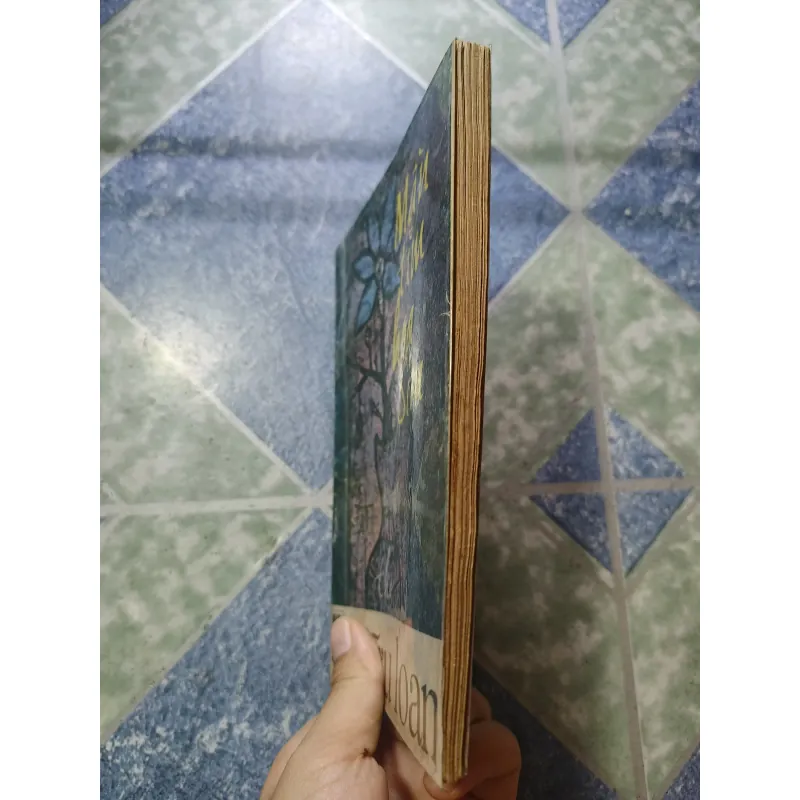 Mầu tím hoa sim thơ - Hữu Loan 975099