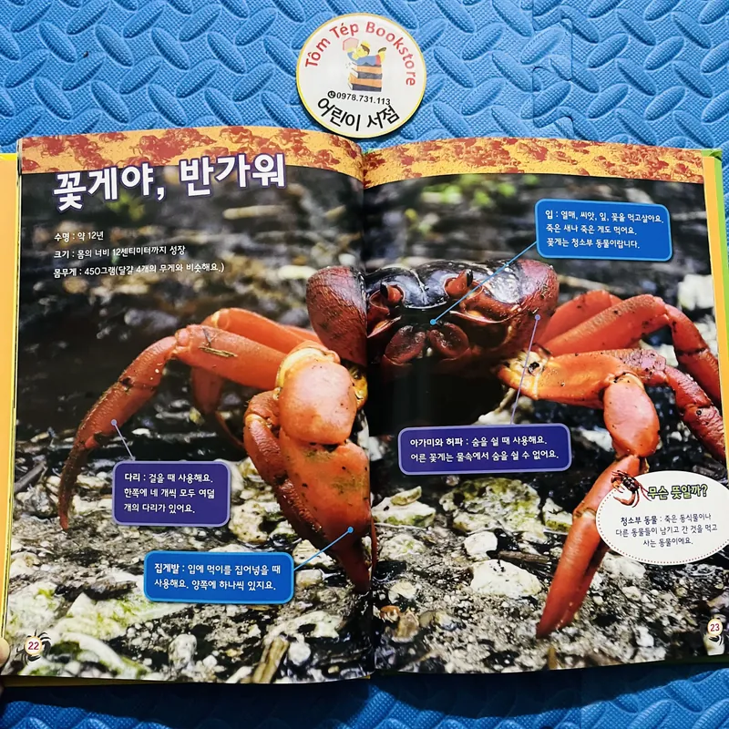 FULL SET NATIONAL GEOGRAPHIC KIDS – TIẾNG HÀN 25 CUỐN  706368