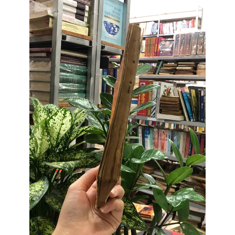 ĐƯỜNG THI - NGÔ TẤT TỐ 474795
