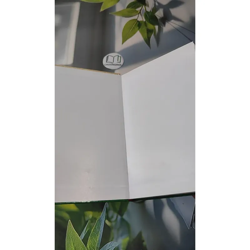 Để Khởi Nghiệp Thành Công Phải Bắt Đầu Từ Đâu? - CEO Đặng Đức Thành 990066