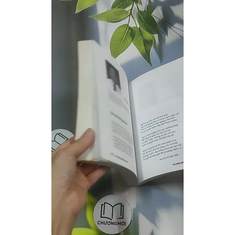 Ân tình phương Nam - Thơ 688636