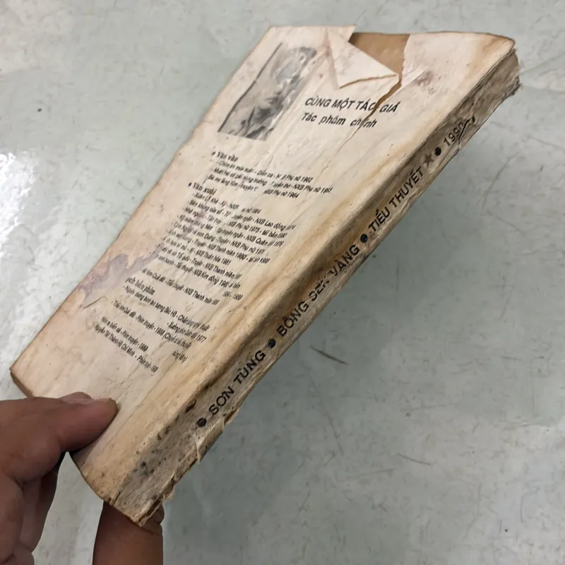 Bông sen vàng - Sơn Tùng - 1990s 1031017