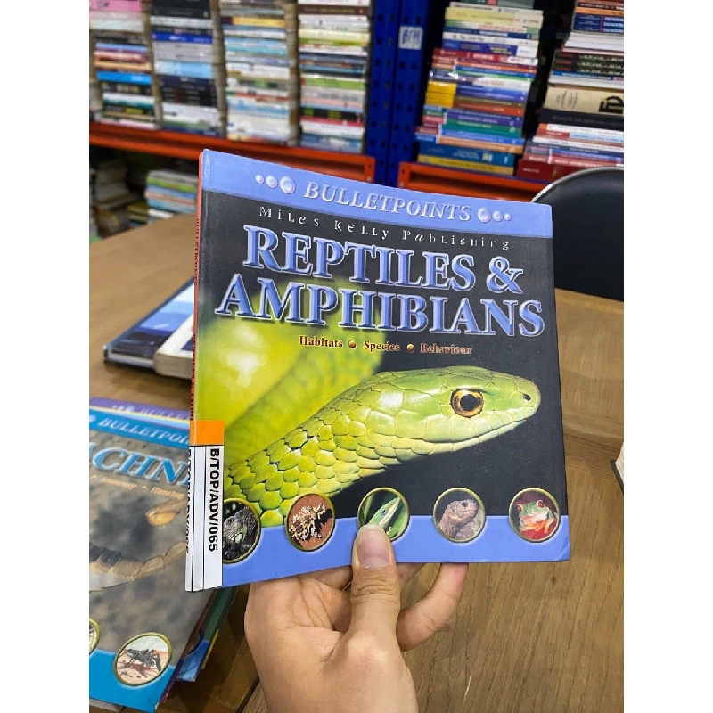 Bulletpoints About Animals 563589