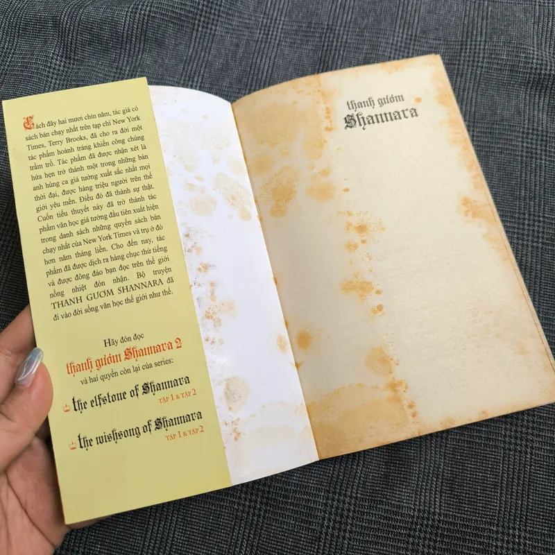Thanh Gươm Shannara (Tập 1) - Terry Brooks - Giá bìa 90k 607212