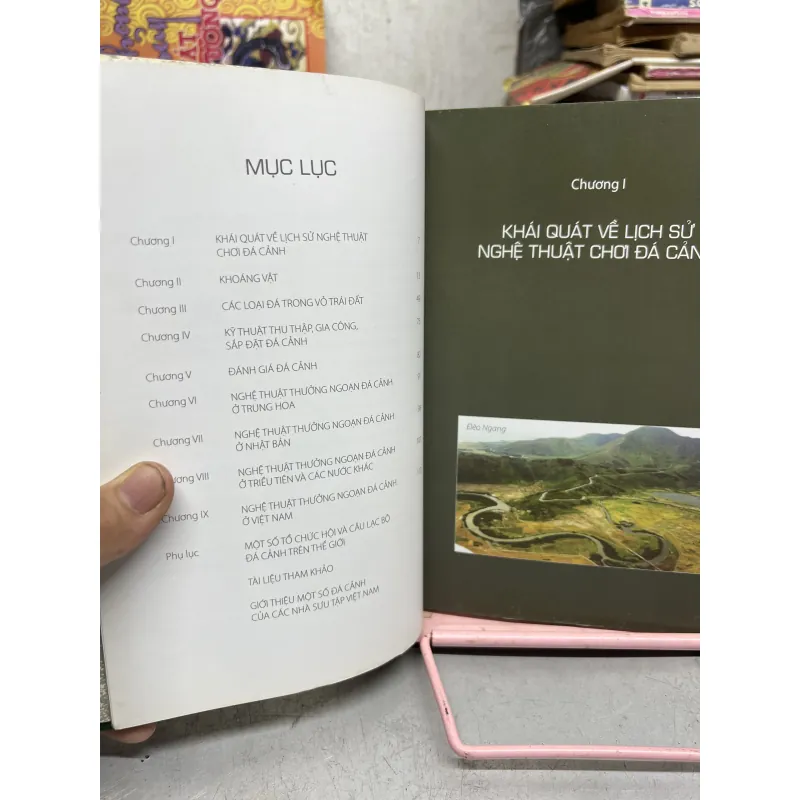 Nghệ thuật thưởng ngoạn đá cảnh 971284