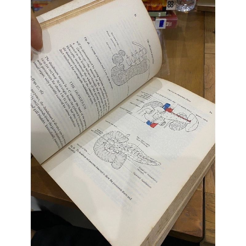 Clinical Anatomy - Harold Ellis 549660