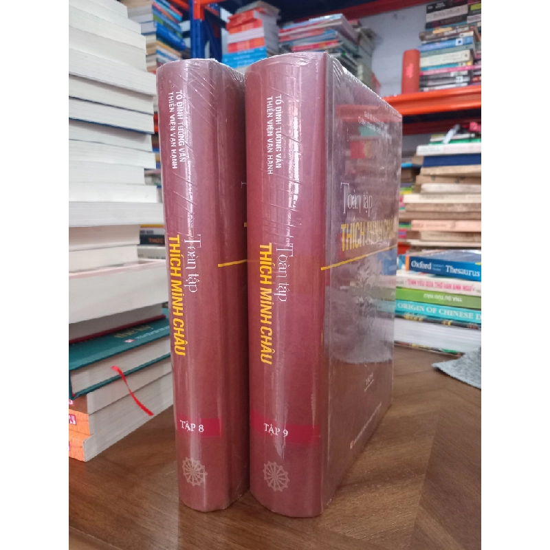 Toàn tập Thích Minh Châu tập 8,9 501432