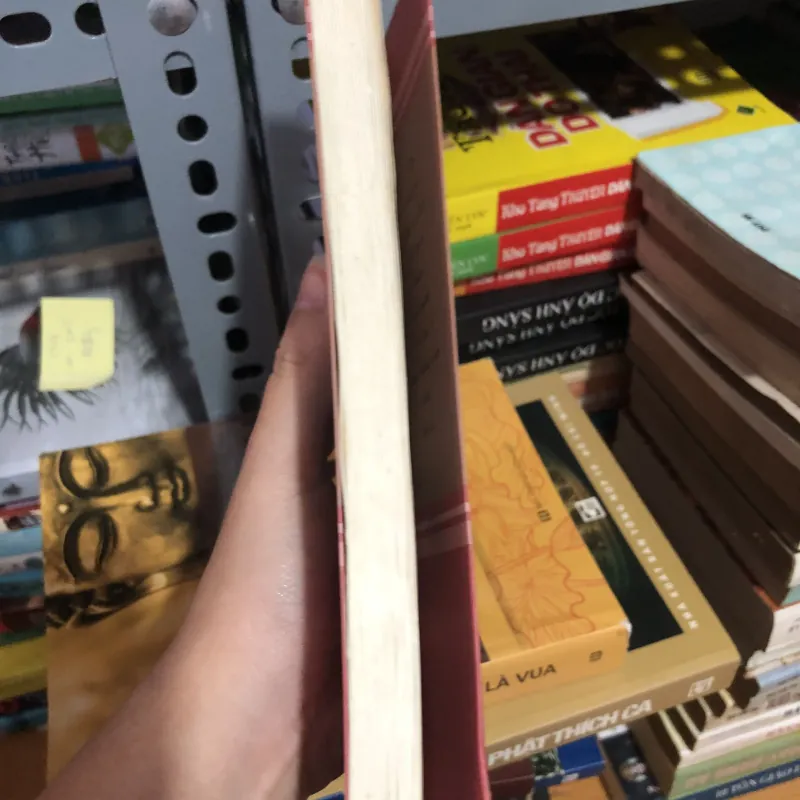 Tiểu thuyết Trang trại tình yêu 990618