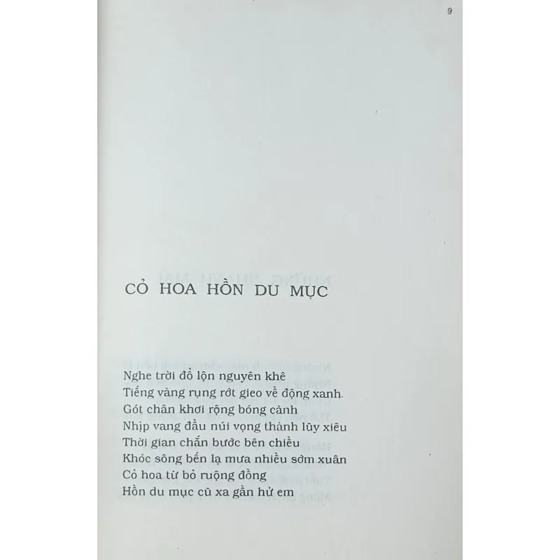 Mưa nguồn (Bùi Giáng) 609806