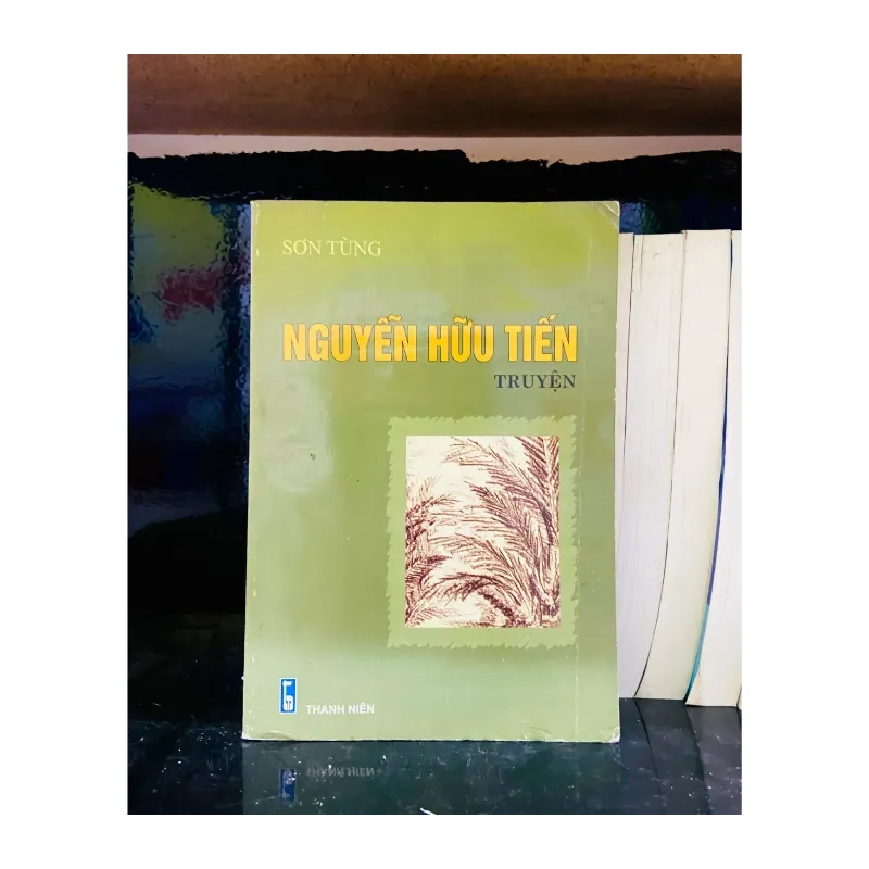 Nguyễn Hữu Tiến - Sơn Tùng 985131