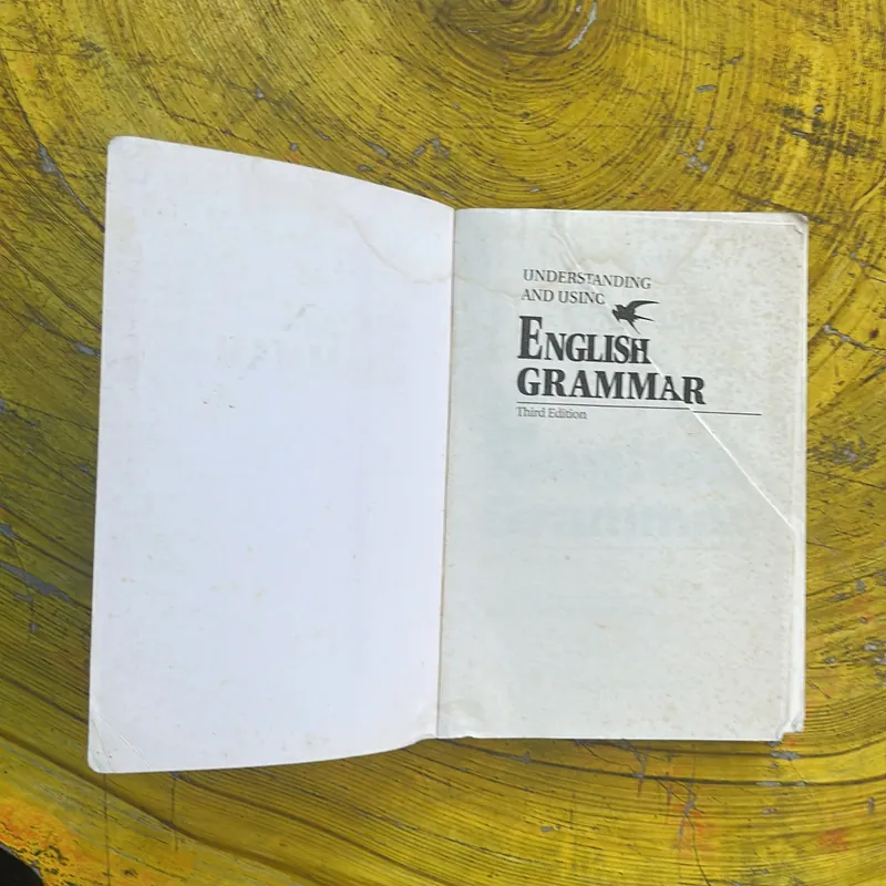 UNDERSTANDING AND USING ENGLISH GRAMMAR NGỮ PHÁP TIẾNG ANH THỰC HÀNH 674277