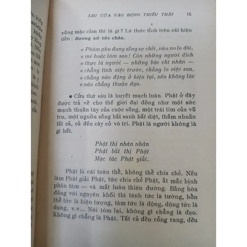 SÁU CỬA VÀO ĐỘNG THIẾU THẤT - BỒ ĐỀ ĐẠT MA (Trúc Thiên dịch) 932702