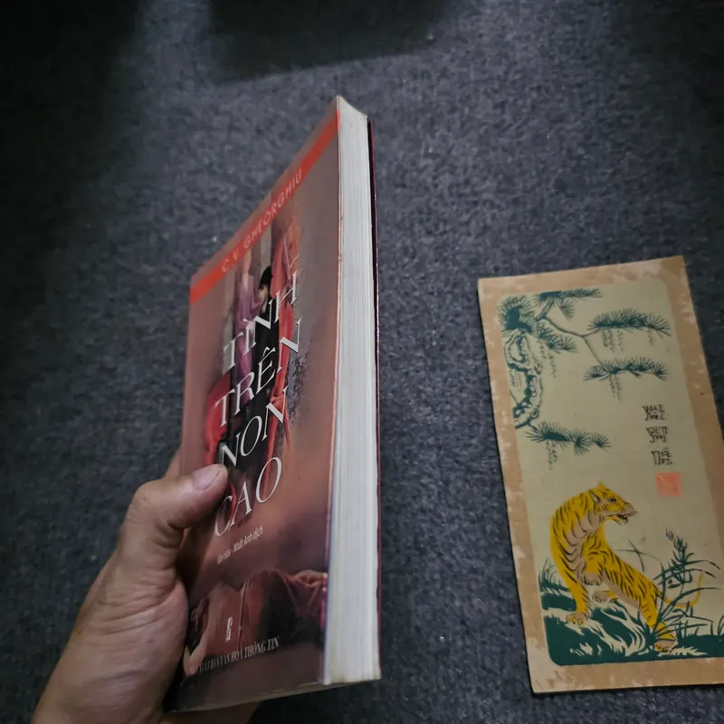 Tình trên non cao - Gheorghiu 734923