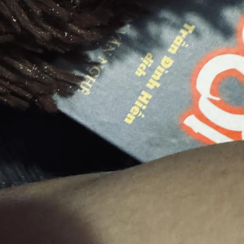 Tiếng Việt, Báo Chí và Thơ Mới - Phan Khôi 932156