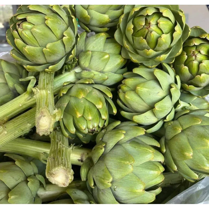 Bông Atiso loại 1 1009247