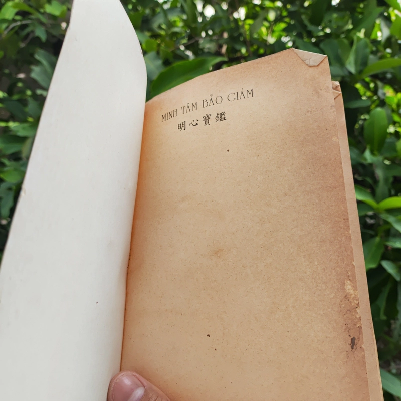 Minh Tâm Bảo Giám - Gương Sáng Soi Sáng Tâm Hồn - Nguyễn Nguyên Quân 525469