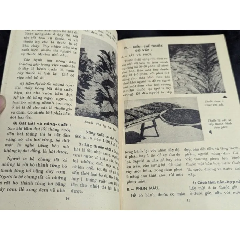 Cải thiện nông nghiệp phổ thông 588839