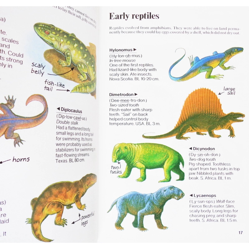 Usborne Spotter's Guides: Dinosaurs 461730