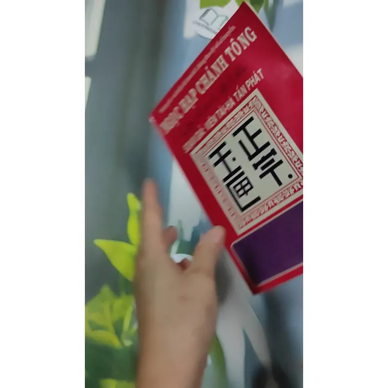 Ngọc Hạp Chánh Tông - Viên Tài - Hà Tấn Phát 776198