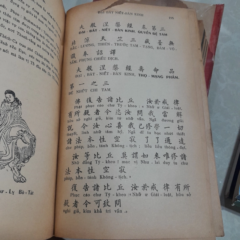 ĐẠI BÁT NIẾT BÀN KINH - ĐOÀN TRUNG CÒN 544353