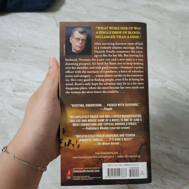 Stephen King_Rose Madder 472856