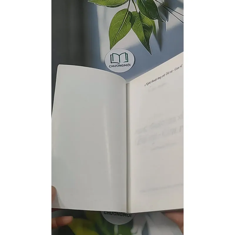 Nghệ thuật ứng xử bố vợ - con rể - Mai Hương 688504