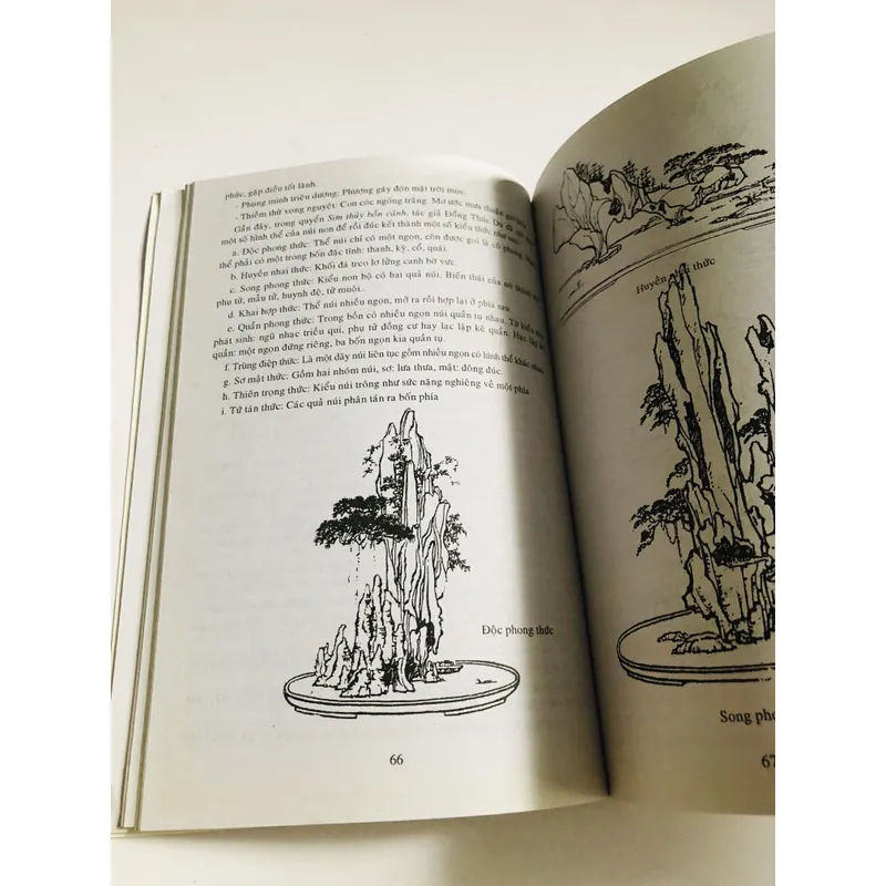 VƯỜN CẢNH ĐÔNG PHƯƠNG 693634