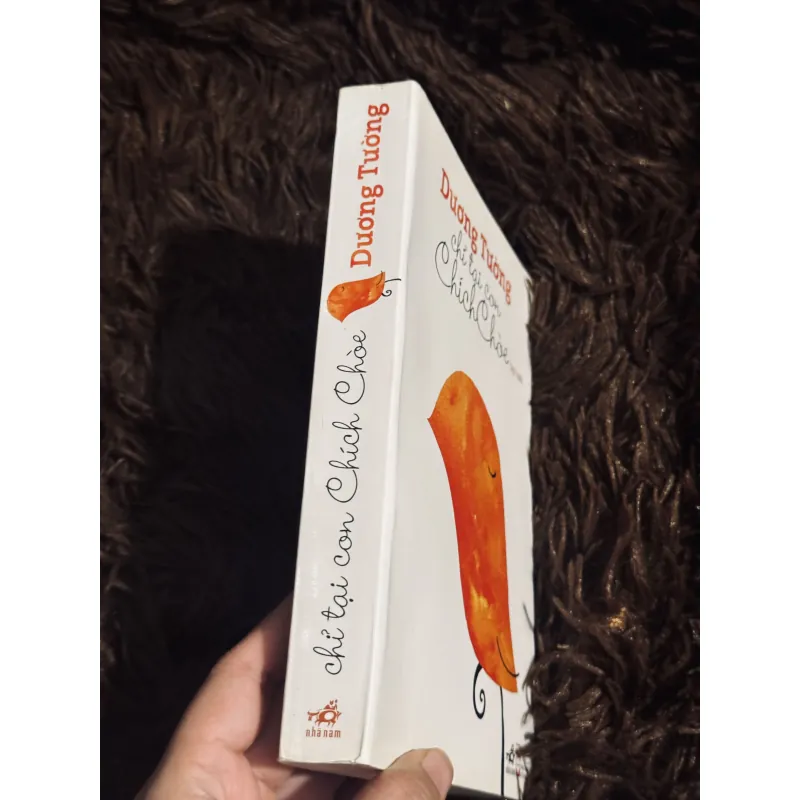 Chỉ tại con chim chích choè 933806