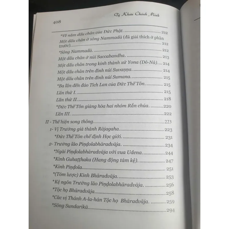 Đức Phật và 45 Năm Hoằng Pháp Độ Sinh - Tập 17 756011