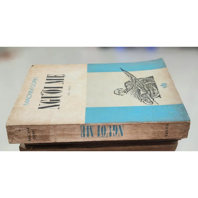 Tiểu thuyết NGƯỜI MẸ - Maxim Gorky 705361