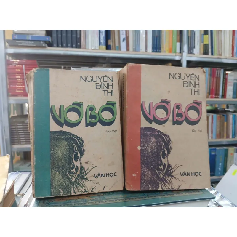 VỠ BỜ - NGUYỄN ĐÌNH THI 1005222