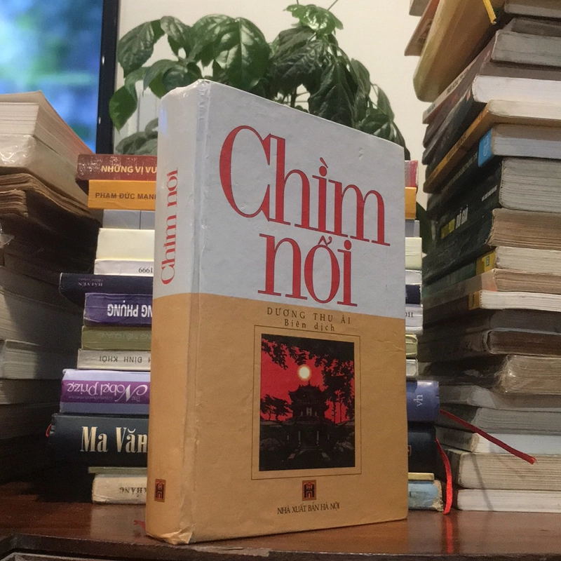 Chìm Nổi (XB 2001) 476804