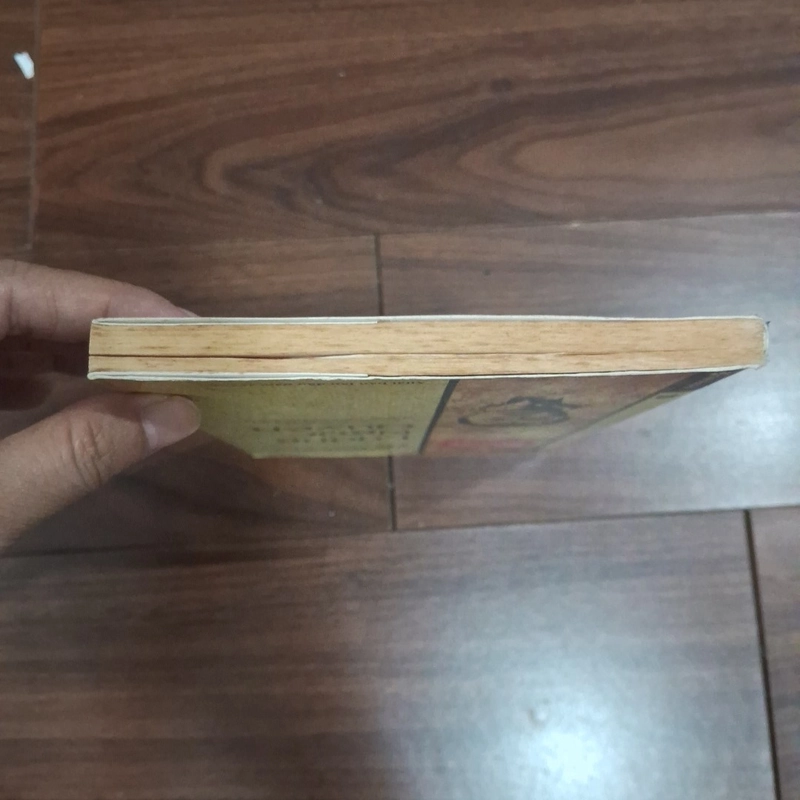 Lueowng ngọc quyến - góc nhìn sử việt 518450
