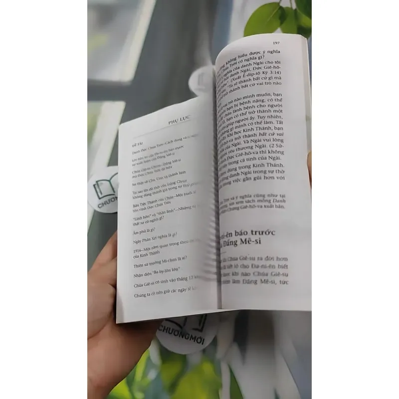 Combo: Kinh Thánh Thật Sự Dạy Gì, Đạo Yêu Thương 727295