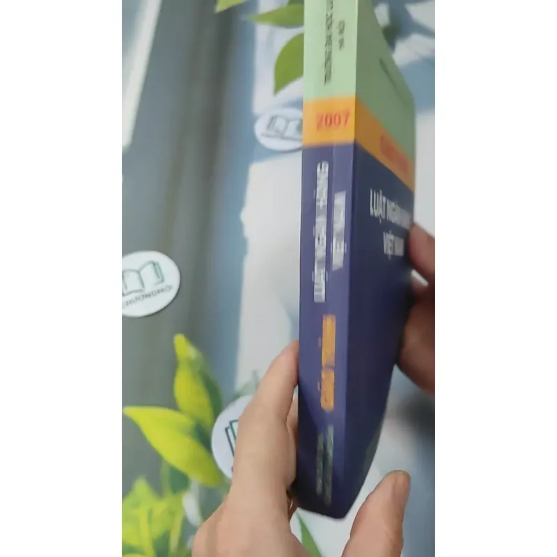 Giáo Trình Luật Ngân Hàng Việt Nam 727229