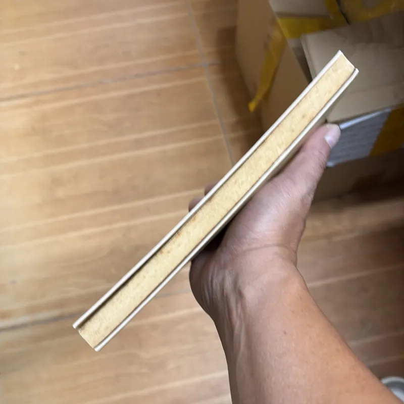 Tô Hoài - Ký ức Đông Dương 598956