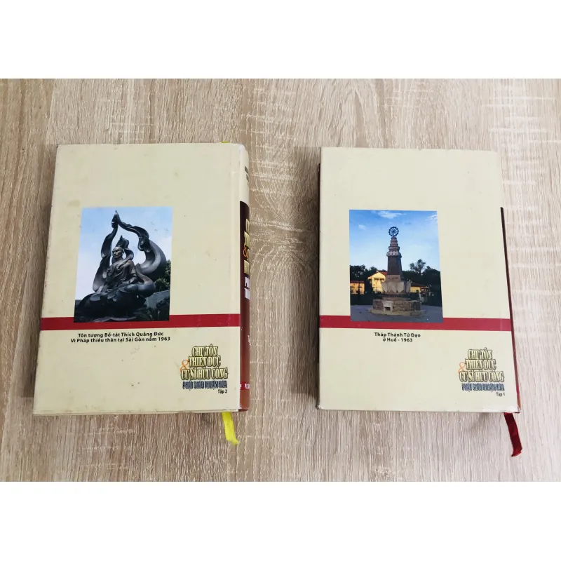 CHƯ TÔN THIỀN ĐỨC & CƯ SĨ HỮU CÔNG – PHẬT GIÁO THUẦN HÓA ( tập 1 & 2) 970537