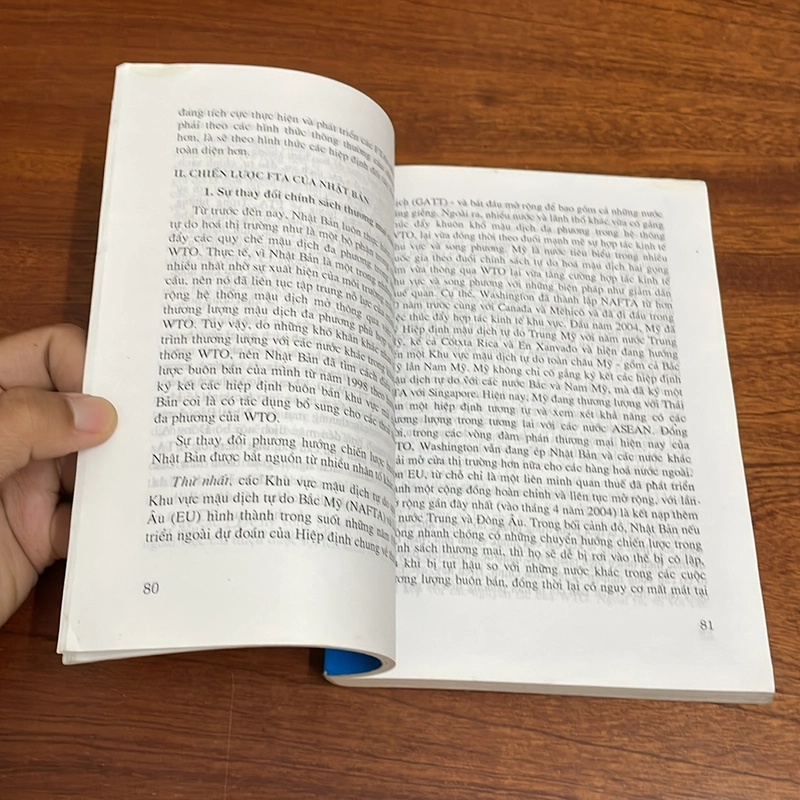 II Đối Sách Của Các Nước Đông Á Trước Việc Hình Thành Các Khu Vực Mậu Dịch Tự Do (FTA) 507805