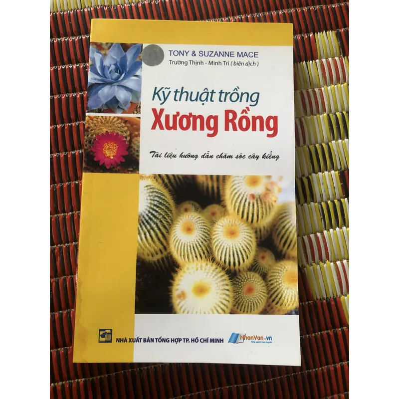 Kỹ thuật trồng xương rồng 693640