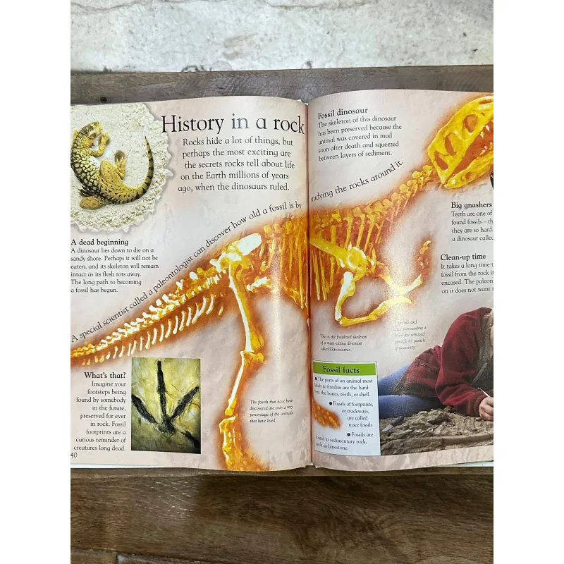 DK Eyewonder Series - Rocks and Minerals 730869