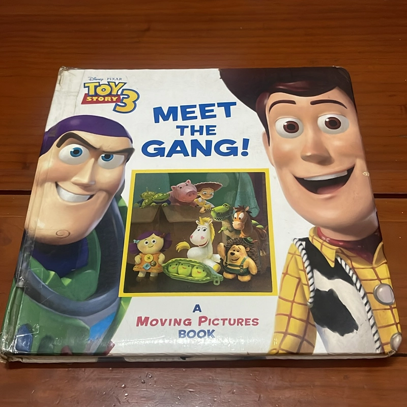 PICTURE BOOK Meet the gang! Disney 534117
