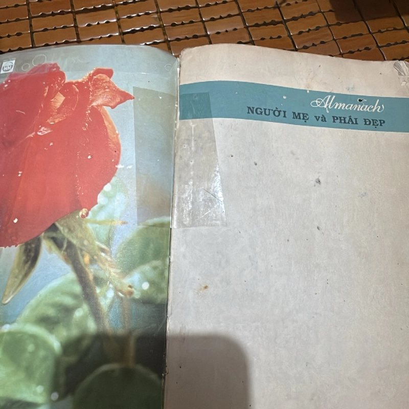 Người mẹ và phái đẹp 465683