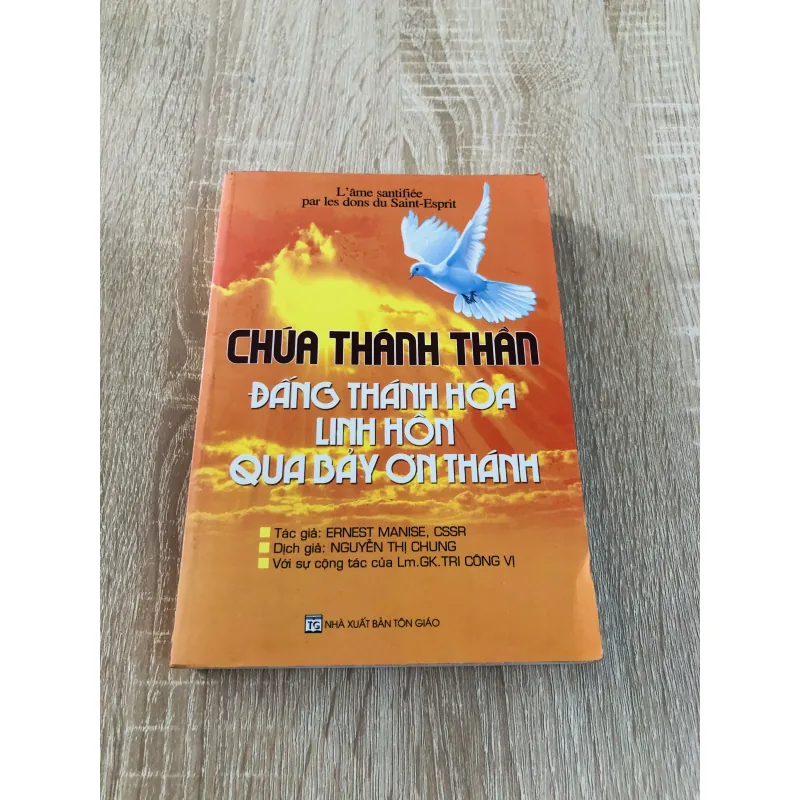 CHÚA THÁNH THẦN ĐẤNG THÁNH HOÁ LINH HỒN QUA BẢY ƠN THÁNH 957019