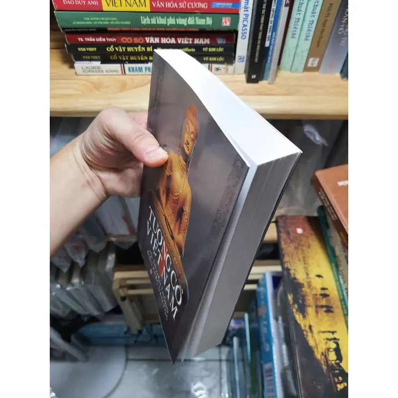 Tượng cổ Việt Nam 609577